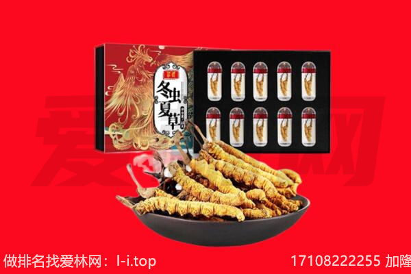 德州回收虫草.jpg